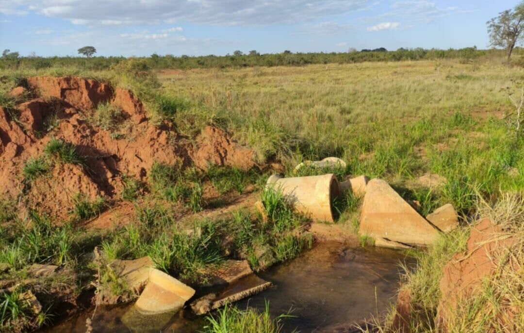 Imagem de compartilhamento para o artigo Fazenda de Paraíso das Águas é multada em R$ 81.600,00 por infrações ambientais da MS Todo dia